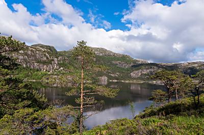Neverdalsfjell, Vatne, Rogaland, Norway