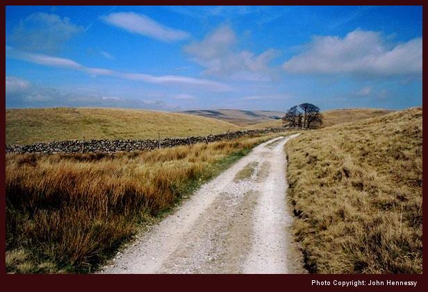 High Pasture, Scales Farm, Ribblesdale, North Yorkshire, England