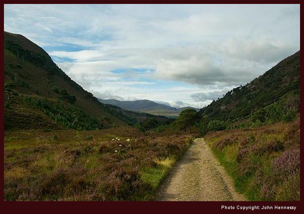 Ryvoan Pass, Glenmore, Cairngorms National Park, Scotland