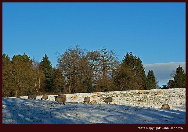 Snow-covered field near Nether Alderley from earlier this year, Cheshire, England