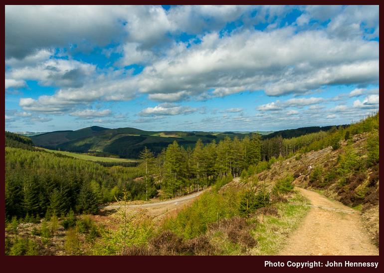 Yair Hill Forest, Cloverfords, Borders, Scotland