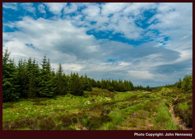 Tarbert and Skipness Forest, Kintyre, Scotland