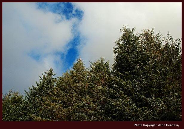 Cloud cover breaking over trees near Blaenau Dolwyddelan, Conwy, Wales