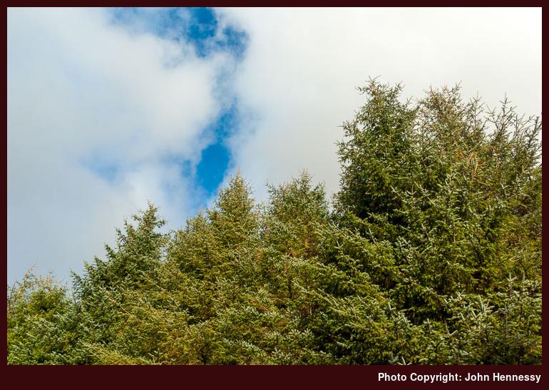 Cloud cover breaking over trees near Blaenau Dolwyddelan, Conwy, Wales
