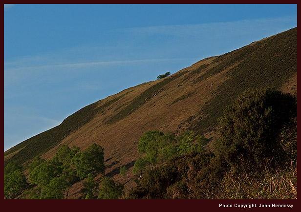 Fron Fawr as seen from the Clwydian Way, Llangollen, Denbighshire, Wales