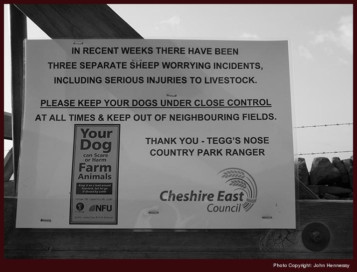 Sheep worrying sign at Tegg's Nose Country Park, Macclesfield, Cheshire, England