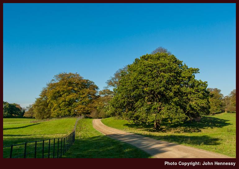 Avenue leading into Hare Hill, Prestbury, Cheshire, England