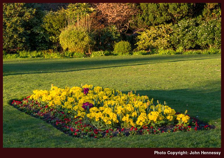 A flower bed in West Park, Macclesfield, Cheshire, England