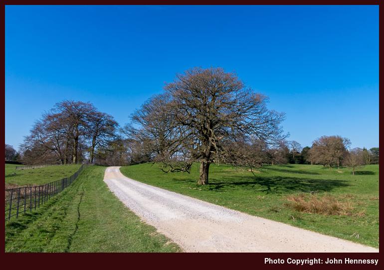 Avenue leading into Hare Hill in April, Prestbury, Cheshire, England