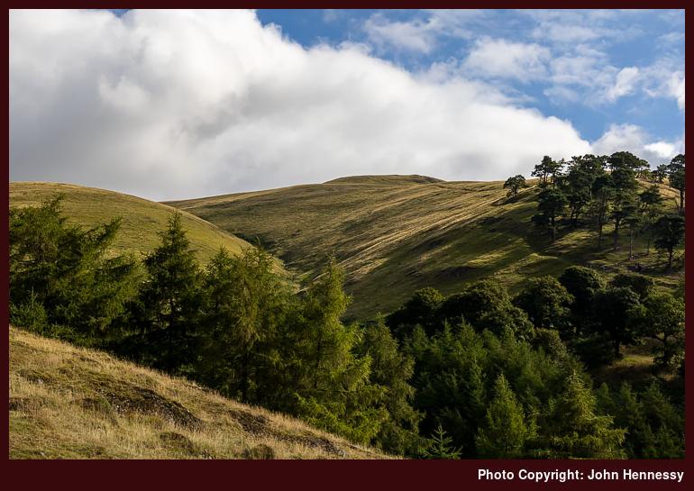 Wood Hill, Ochil Hills, Alva, Clackmannanshire, Scotland