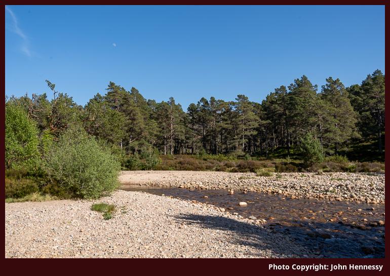 Am Beanaidh, Rothiemurchus, Cairngorms National Park, Scotland