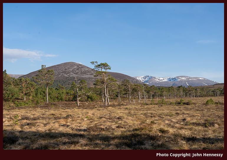 Cairn Eilrig & Braeriach, Cairngorms National Park, Scotland