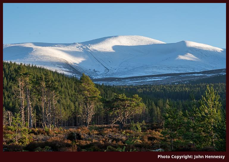 Cairn Gorm from Rothiemurchus, Cairngorms National Park, Scotland