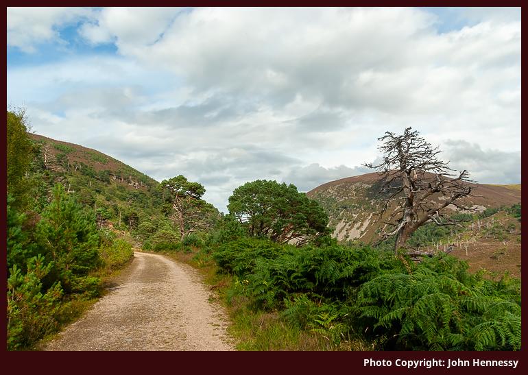 Creag Loisgte & Creag nan Gall, Cairngorms National Park, Scotland