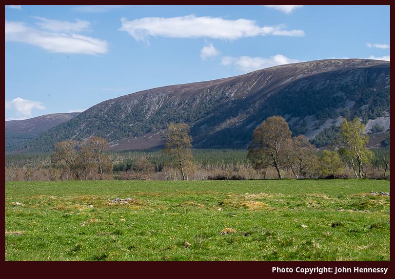 Peering into Glen Feshie, Cairngorms National Park, Scotland