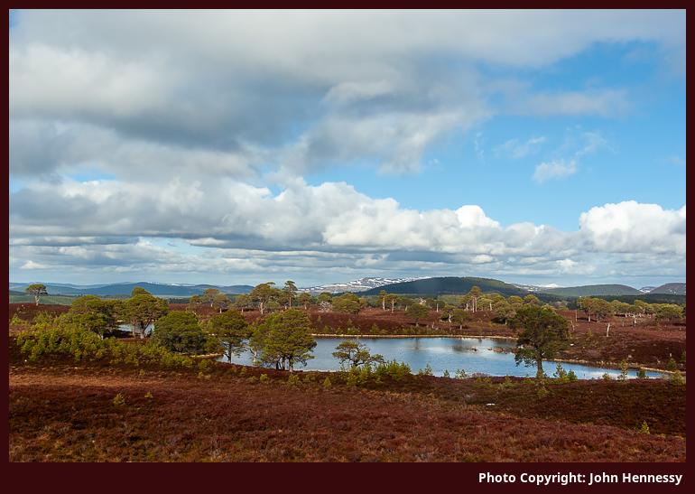 Loch a