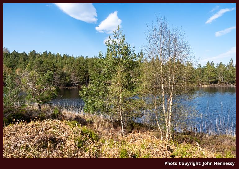 Lochan Gamhna, Rothiemurchus, Cairngorms National Park, Scotland