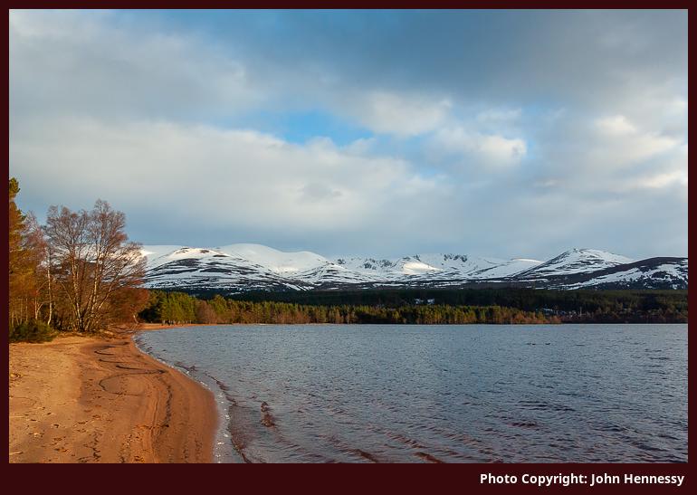 Loch Morlich Shoreline, Cairngorms National Park, Scotland