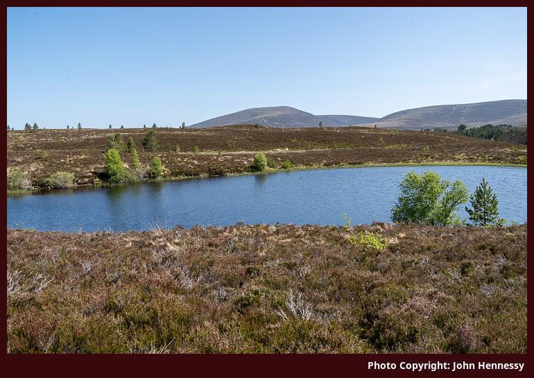 Lochan a