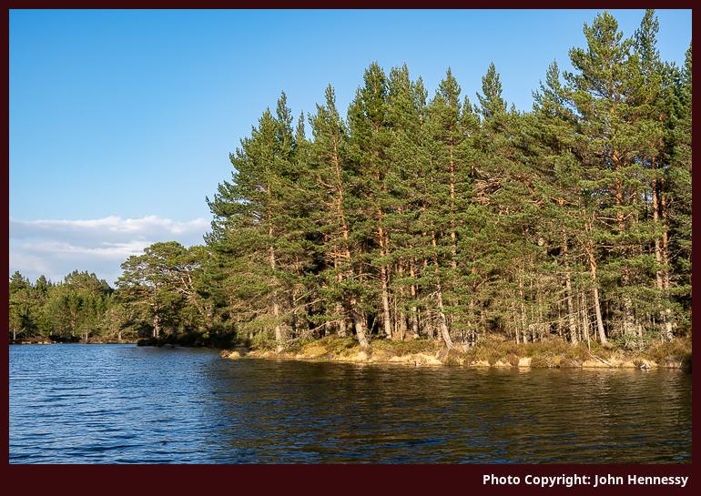 Lochan De&ograve;, Rothiemurchus, Cairngorms National Park, Scotland