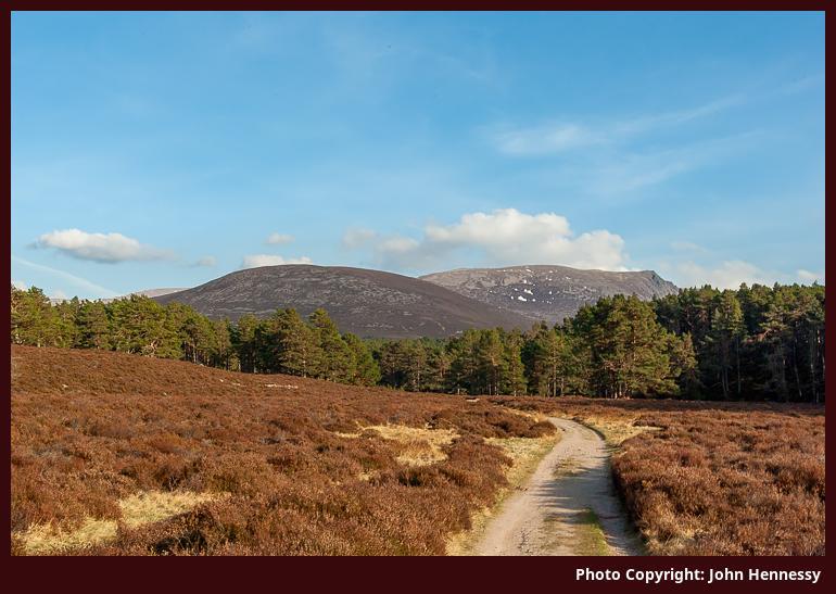 Rothiemurchus, Cairngorms National Park, Scotland