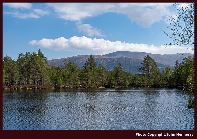 One of the Uath Lochans, Inshriach Forest, Cairngorms National Park, Scotland