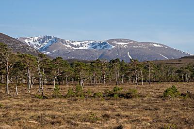 Braeriach from Rothiemurchus, Cairngorms National Park