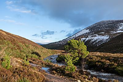 Cairn Eilrig, Gleann Eanaich, Cairngorms National Park