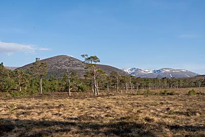 Cairn Eilrig & Braeriach, Cairngorms National Park