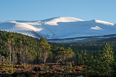 Cairn Gorm from Rothiemurchus, Cairngorms National Park