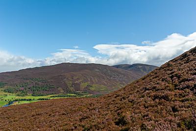 Creag nan Sgliat from Morrone, Braemar, Cairngorms National Park