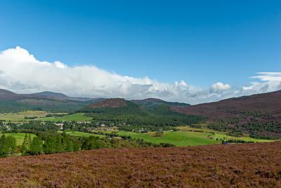 Creag Choinnich from Morrone, Braemar, Cairngorms National Park, Scotland Creag Choinnich from Morrone, Braemar, Cairngorms National Park, Scotland