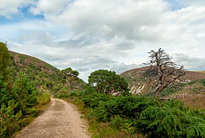 Creag Loisgte & Creag nan Gall, Cairngorms National Park