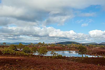 Loch a