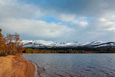 Loch Morlich Shoreline, Cairngorms National Park