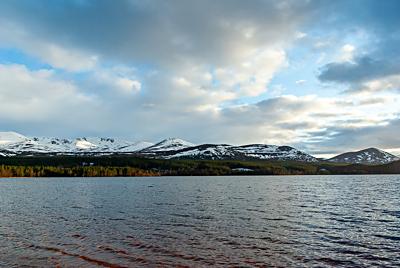 Loch Morlich Skyline, Cairngorms National Park, Scotland Loch Morlich Skyline, Cairngorms National Park, Scotland