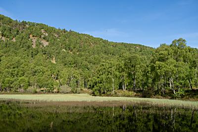 Loch Puladdern, Craigellachie National Nature Reserve, Aviemore, Cairngorms National Park, Scotland