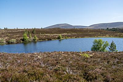 Lochan a' Chait, Abernethy National Nature Reserve, Cairngorms National Park, Scotland Lochan a' Chait, Abernethy National Nature Reserve, Cairngorms National Park, Scotland