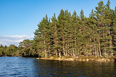 Lochan Deò, Rothiemurchus, Cairngorms National Park, Scotland Lochan Deò, Rothiemurchus, Cairngorms National Park, Scotland