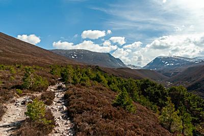 Looking towards the Lairig Ghru, Cairngorms National Park