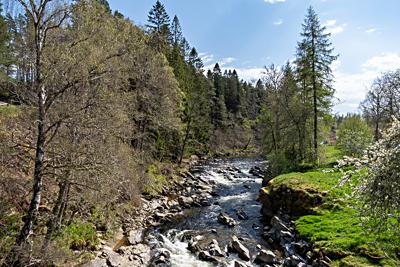 River Feshie, Feshiebridge, Cairngorms National Park