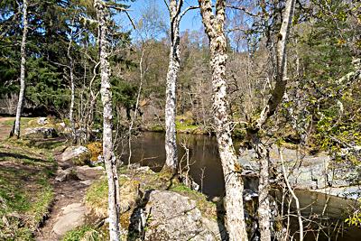 A Quieter Stretch of the River Feshie, Feshiebridge, Cairngorms National Park, Scotland A Quieter Stretch of the River Feshie, Feshiebridge, Cairngorms National Park, Scotland