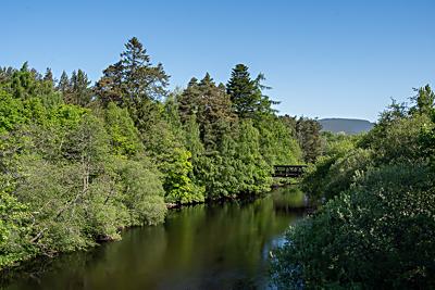 River Spey, Aviemore, Cairngorms National Park, Scotland River Spey, Aviemore, Cairngorms National Park, Scotland