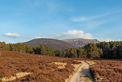 Rothiemurchus, Cairngorms National Park