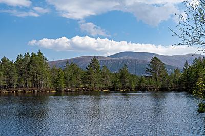 One of the Uath Lochans, Inshriach Forest, Cairngorms National Park
