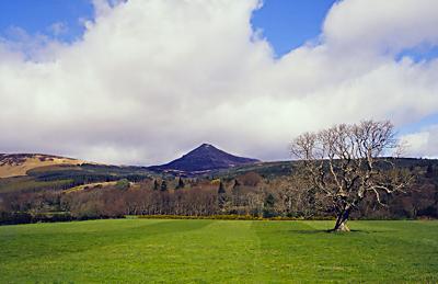 Goatfell & Glenshant Hill, Cladach