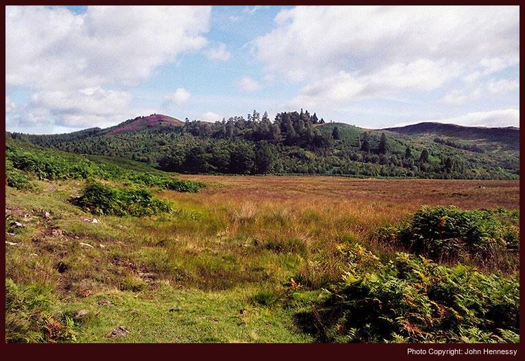 Beinn Liath, Port of Menteith, Stirling District, Scotland