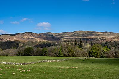 Looking North from Boschastle, Callander, Stirling District