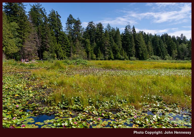 Beaver Lake, Stanley Park, Vancouver, British Columbia, Canada