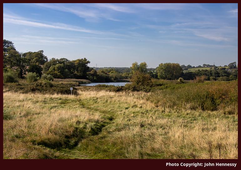 Cuskinny Marsh, Cobh, Co. Cork, Éire